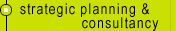 strategic planning and consultancy :: Market research etc.