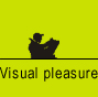 VISUAL PLEASURE